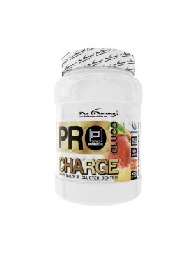 GLUCO CHARGE 900G