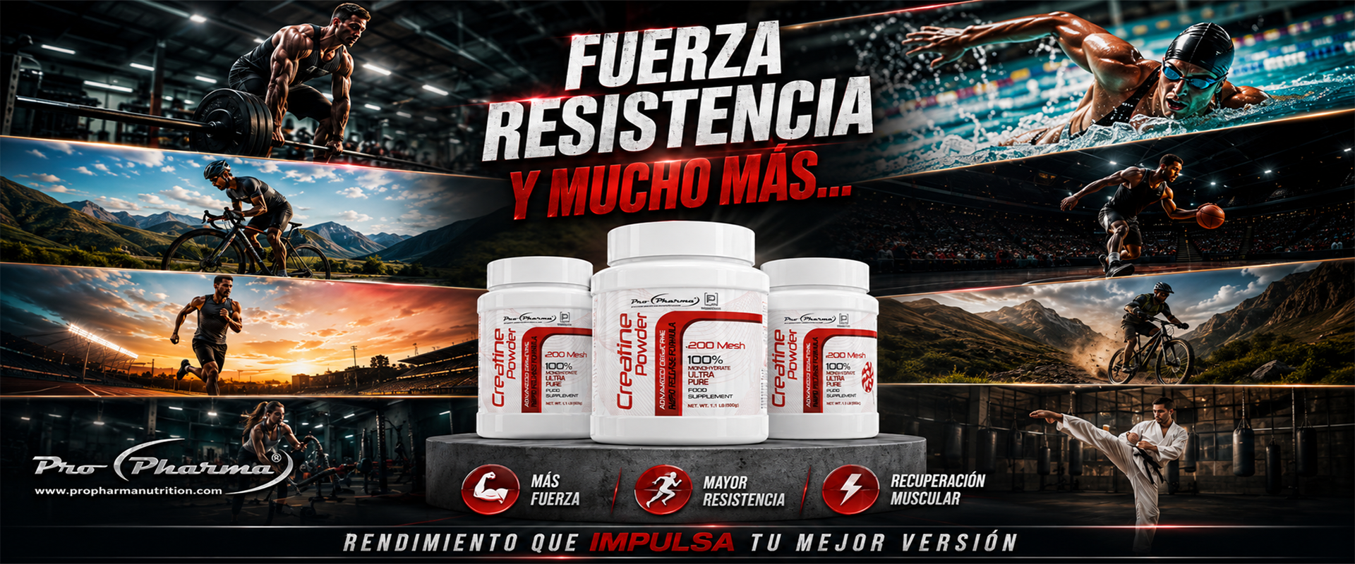 Slide Creatina